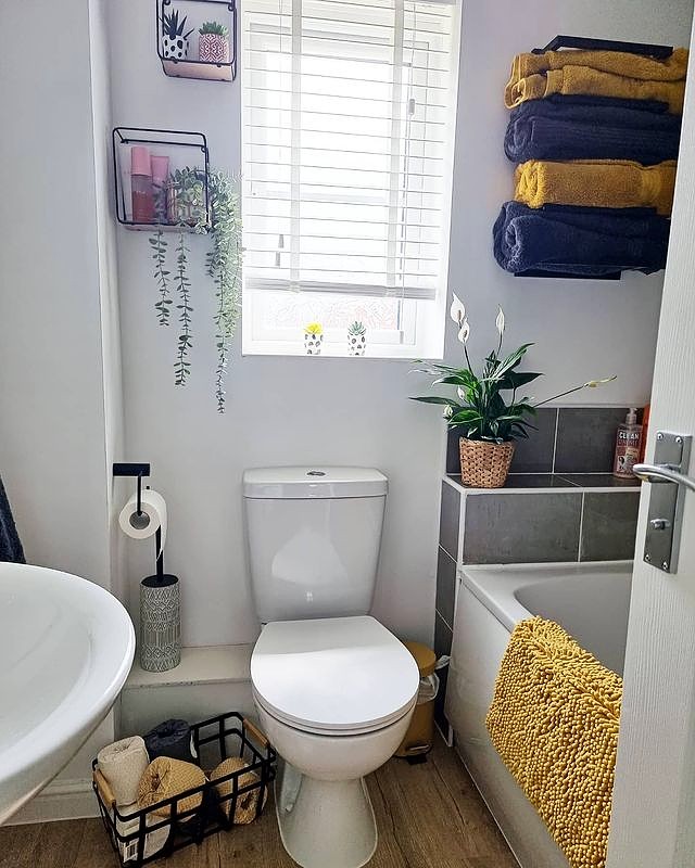 Can you spot the Bumboo rolls? 👀