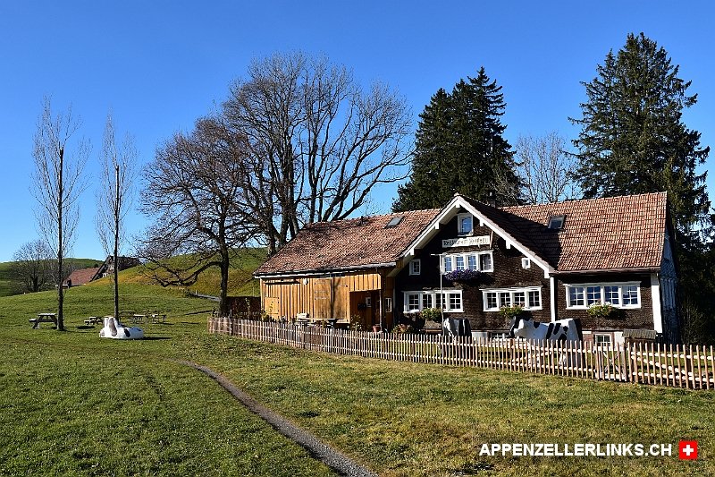 appenzellerlink's tweet photo. Hüt, dur dä neblig Wald, a d'Sunnä.🌞 #Oberegg #Waldstrasse #Rütegg #Appenzellerland https://t.co/8lIhZTCoAN