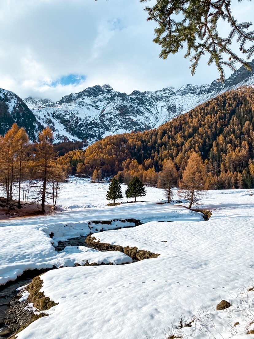 La #neve in contrasto con il colore acceso dei larici:
sai dirci dove ci troviamo oggi? 🍂❄️

#autunno 
#spazioaltuotempo