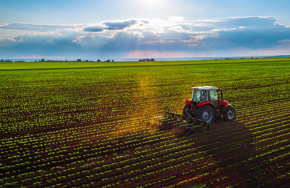 Agriculturers's tweet photo. Foto del dia: Cultivando entre hileras
https://t.co/sJLZNb2Dld https://t.co/52wShsjUlB