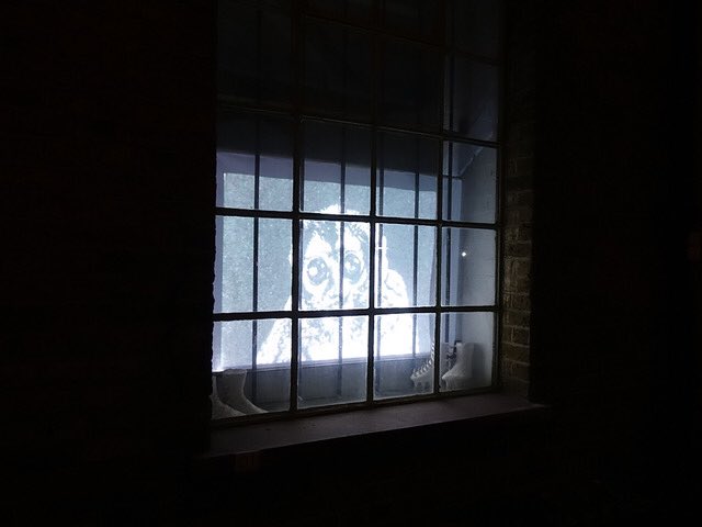 More photos in of Night Watch thank to <a href="/Rae2Nicola/">NicolaRae2</a>.
The studio window of neighbours Nicola Rae is on the left and <a href="/VictoriaRance/">Victoria Rance</a> on the right. 
The gates open at 6pm this evening.
GIFT is on in the gallery until 5pm.
And @thedeptfordbus and <a href="/littlefaithbeer/">Little Faith Beer</a> just a minute away...