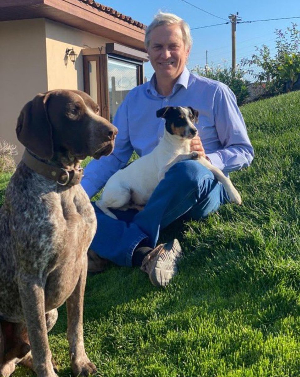 AngelDLaCruz_'s tweet photo. Vota por el candidato qué No maltrata a los animales 🐕🐈🐎🐄
#Vota2 #VotaKast ✌️

#BoricMaltrataAnimales #alerta #FelizSabado https://t.co/x8b840a8Il
