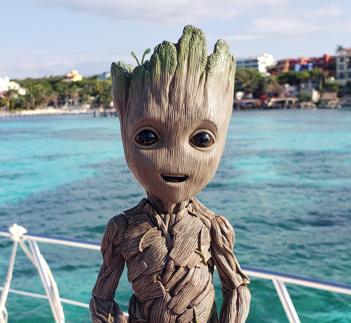 MyBabyGroot's tweet photo. I am Groot!

#WorkingOnMyTan

#groot #babygroot #iamgroot  #wearegroot #twig #guardians #guardiansofthegalaxy #guardiansofthegalaxyvol2 #avengersinfinitywar #gotg #gotg2 #marvel #disney #stickpic #instagroot #wearegroot🌱 https://t.co/1DcJvfeblv