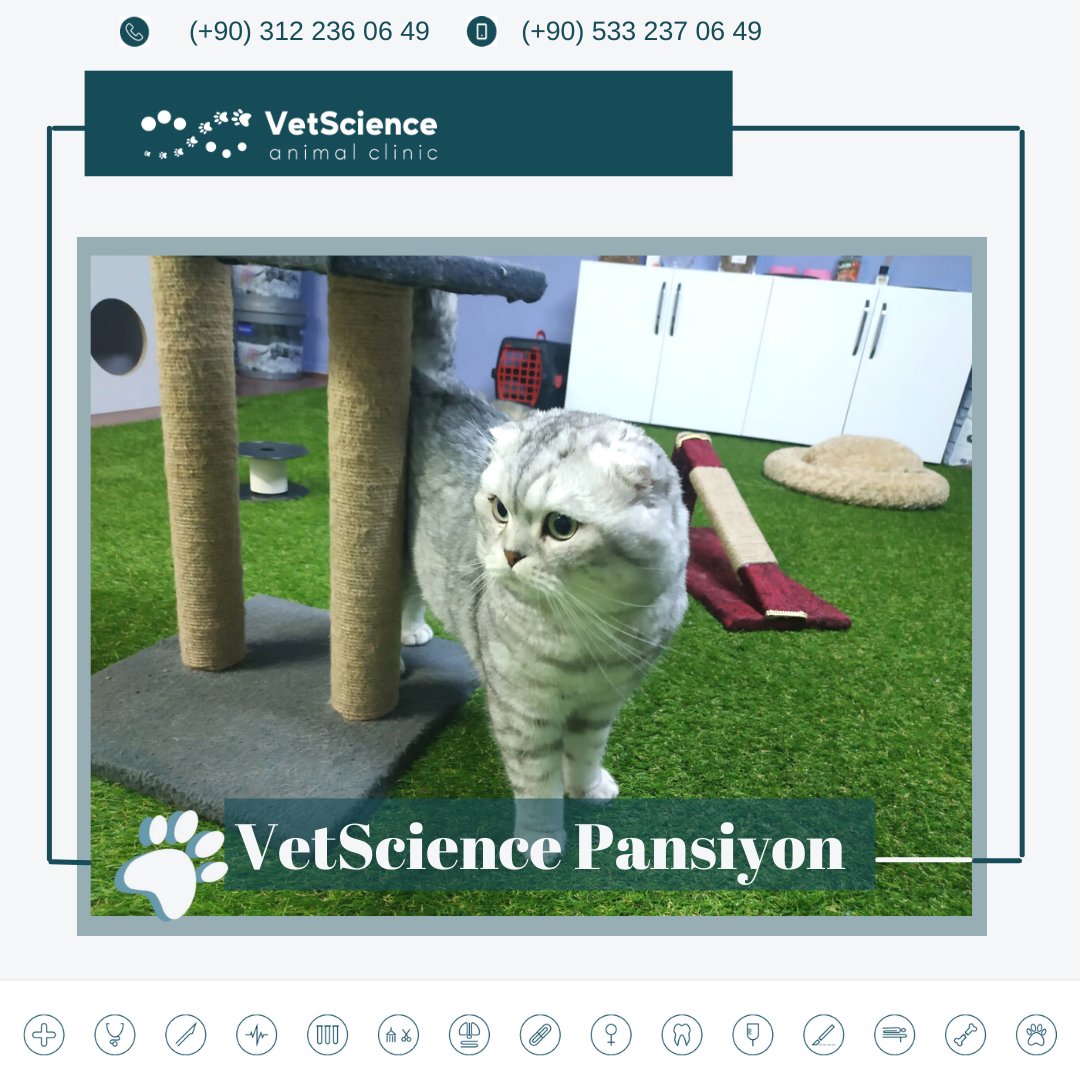VetscienceC's tweet photo. Özel ve steril alandan oluşan pet pansiyonumuz.Gerekli tüm teknik donanıma sahip ekibimizin pansiyon hizmetiyle dostlarımızın güzel zaman geçirmelerini sağlıyor,evinden uzak olduğunu hissettirmemeye çalışarak bireysel ihtiyacı doğrultusunda sosyalliğine özen gösteriyoruz. https://t.co/TZD1lmvE9j