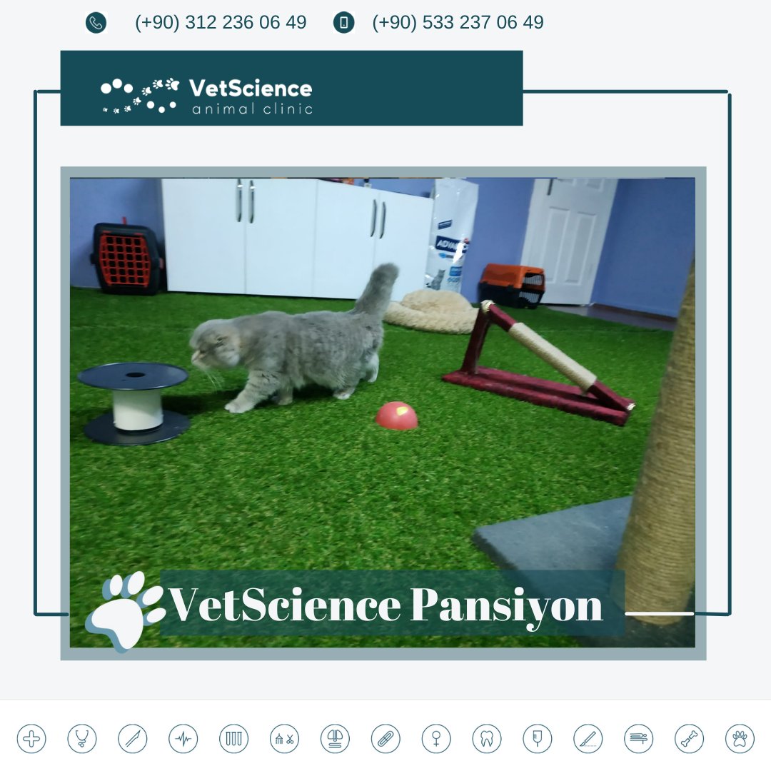 VetscienceC's tweet photo. Özel ve steril alandan oluşan pet pansiyonumuz.Gerekli tüm teknik donanıma sahip ekibimizin pansiyon hizmetiyle dostlarımızın güzel zaman geçirmelerini sağlıyor,evinden uzak olduğunu hissettirmemeye çalışarak bireysel ihtiyacı doğrultusunda sosyalliğine özen gösteriyoruz. https://t.co/TZD1lmvE9j