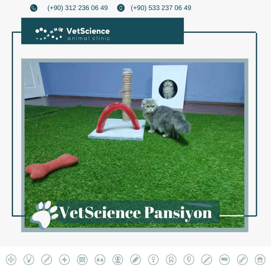 VetscienceC's tweet photo. Özel ve steril alandan oluşan pet pansiyonumuz.Gerekli tüm teknik donanıma sahip ekibimizin pansiyon hizmetiyle dostlarımızın güzel zaman geçirmelerini sağlıyor,evinden uzak olduğunu hissettirmemeye çalışarak bireysel ihtiyacı doğrultusunda sosyalliğine özen gösteriyoruz. https://t.co/TZD1lmvE9j