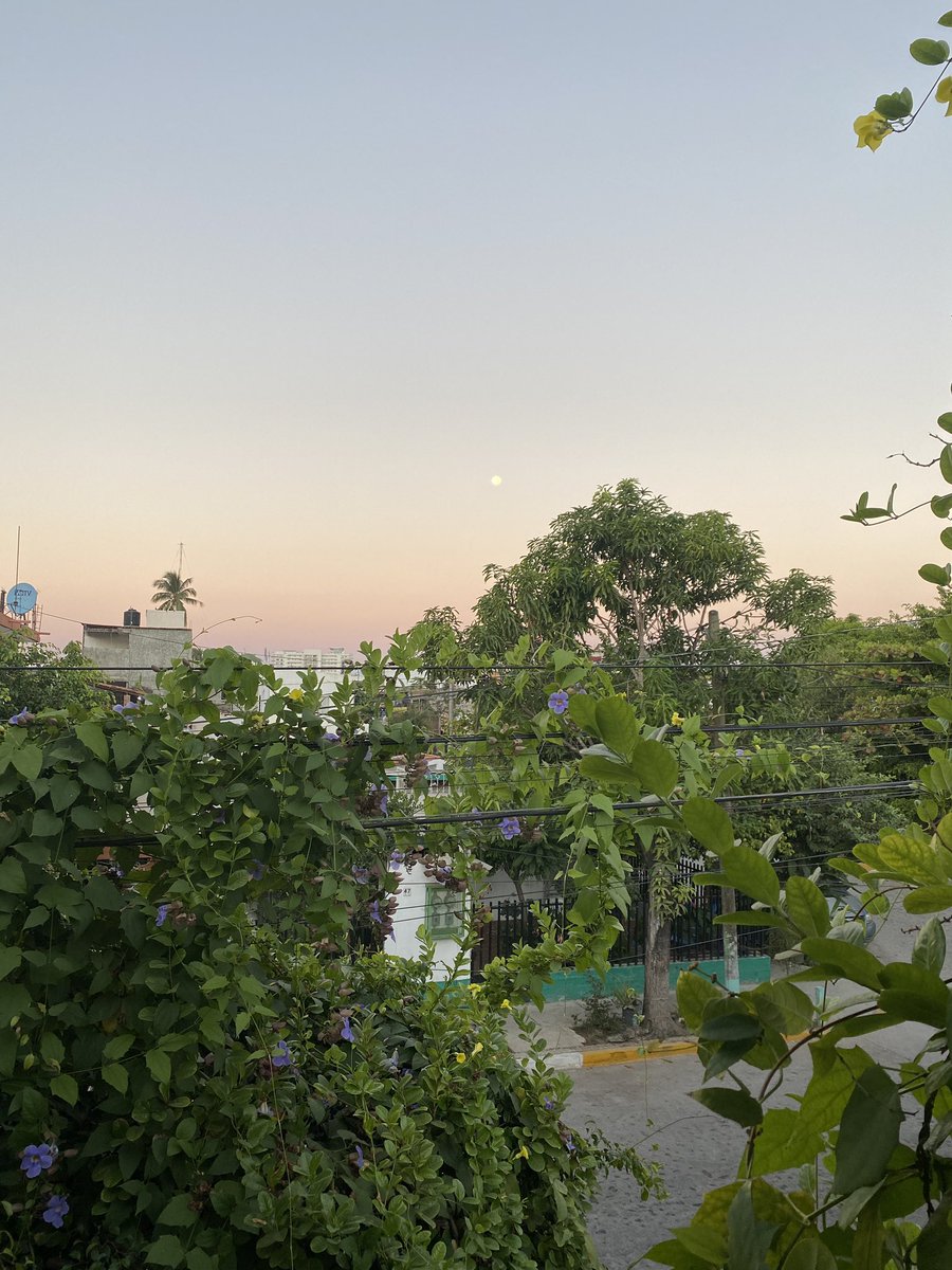 The moon this morning at 7:23am 🌕. #notthesun #PuertoVallarta #beavermoon #EclipseLunar