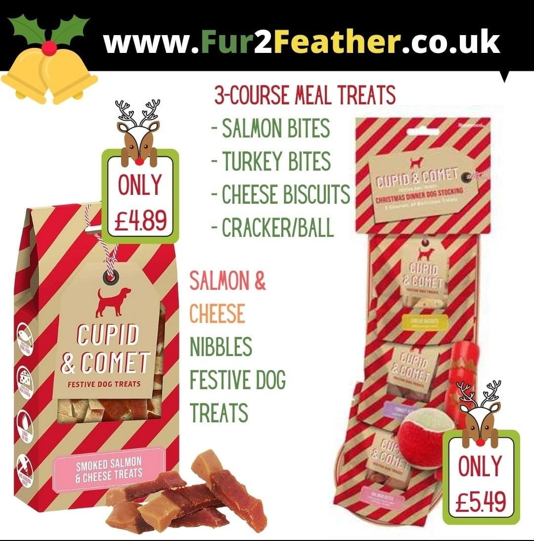 fur2feather's tweet photo. 🐶🎅🎄🌟🐾🦴🎁🐩🍬
Festive Dog Treats Now In Stock‼️
Visit our website today to ensure your doggies get their stocking filled in time‼️
🐾https://t.co/fEFtptzLdW🪶

#DogTreats #christmasdogtreats🎄 #naturaldogtreats #dogstockingfillers #wheatfreedogtreats #dogfood #festive #dogs https://t.co/NsbtrH5zMi