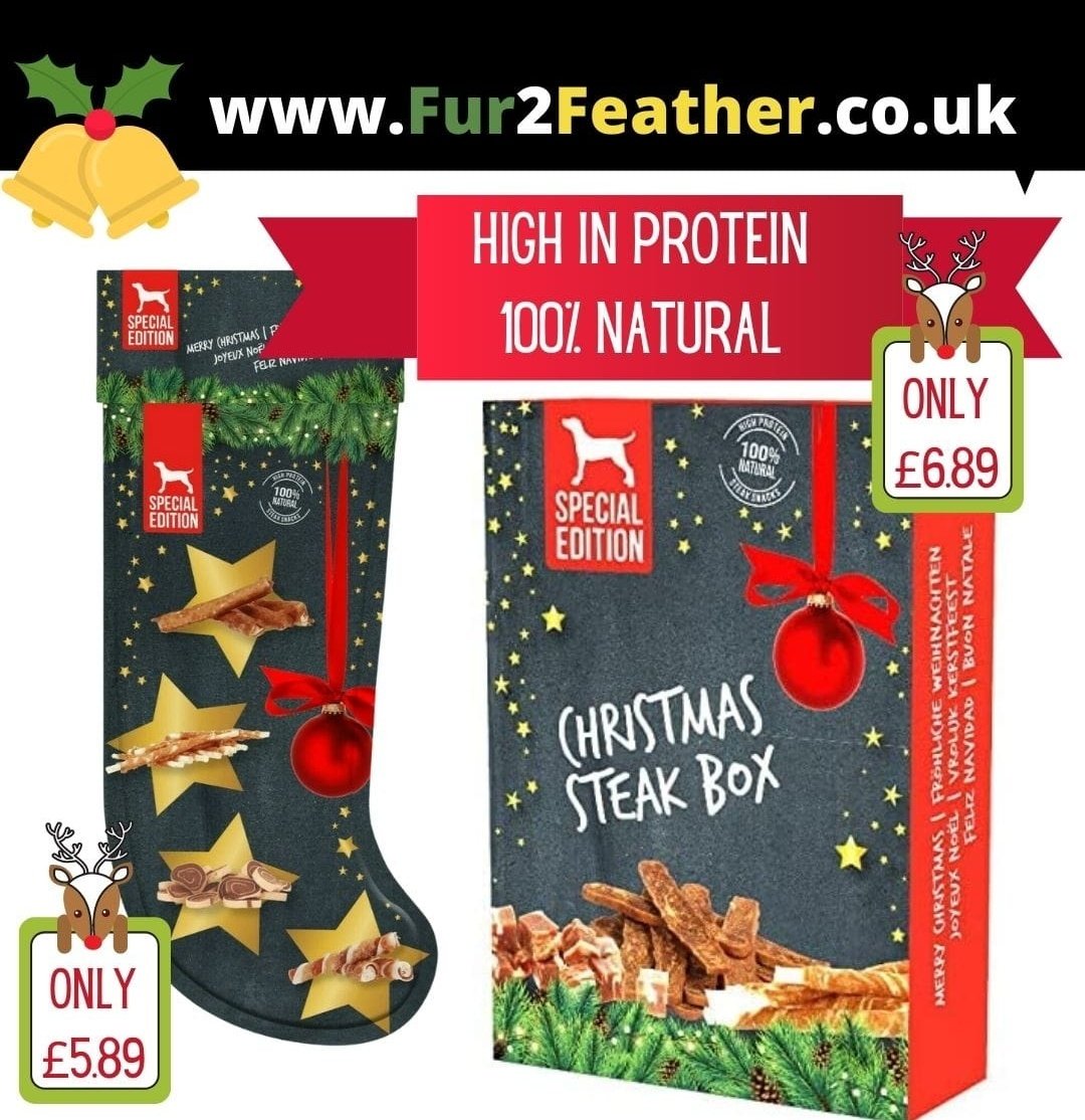fur2feather's tweet photo. 🐶🎅🎄🌟🐾🦴🎁🐩🍬
Festive Dog Treats Now In Stock‼️
Visit our website today to ensure your doggies get their stocking filled in time‼️
🐾https://t.co/fEFtptzLdW🪶

#DogTreats #christmasdogtreats🎄 #naturaldogtreats #dogstockingfillers #wheatfreedogtreats #dogfood #festive #dogs https://t.co/NsbtrH5zMi