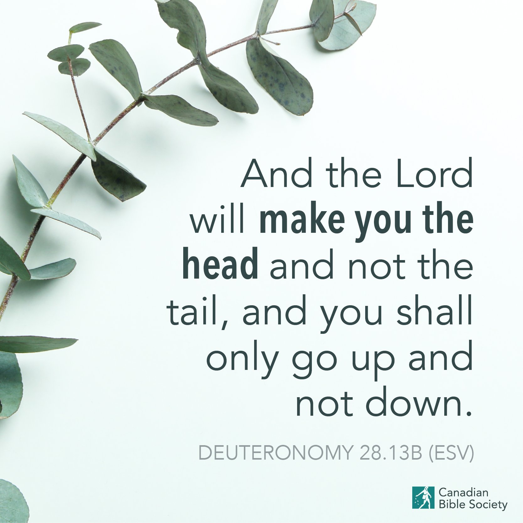 The Lord Will Make You The Head The Lord Will Make You The Head