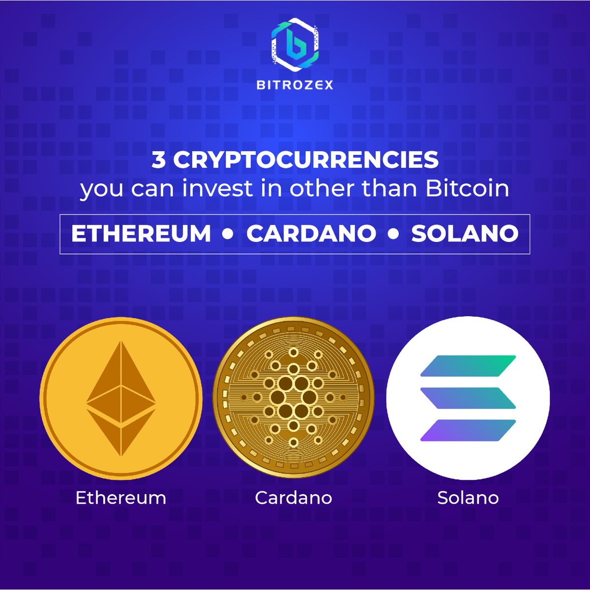 bitrozex's tweet photo. These are the coin that are ruling the market apart from Bitcoin.
Have you invested in these coins yet?
#Bitrozex #Cryptocurrency #CryptoMarket https://t.co/uTtvuBHOLs