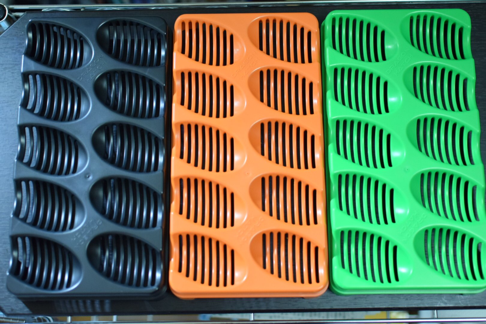 ドラゴンハッチトレイハッチトレイ