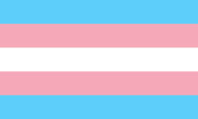 Today marks #TDOR a day to honour the memory of those transgender people whose lives have been lost to acts of anti-transgender violence @UniofGlos_Jobs @LGBTChelt @uniofglos