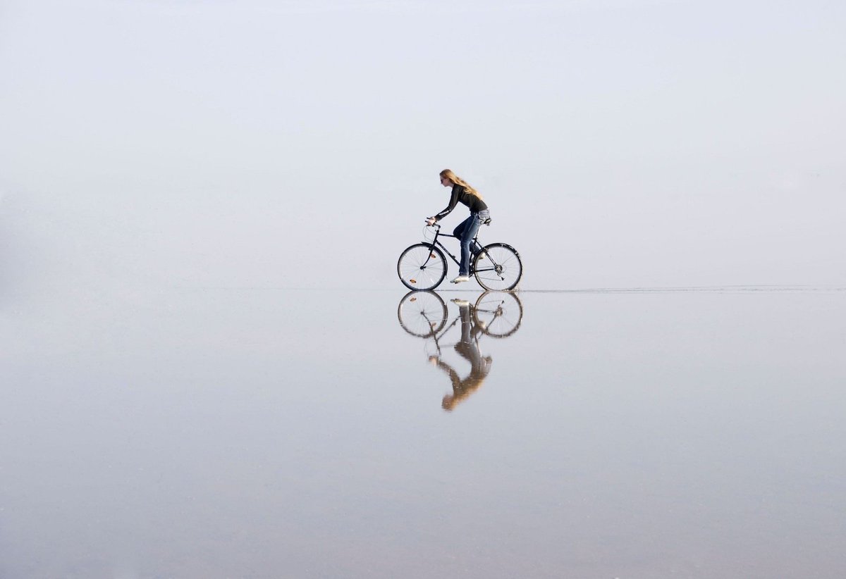 Bicycles and Beyond™ tweet media