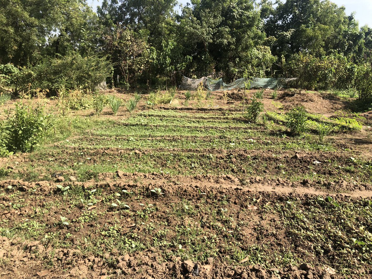 Edah Clement tweet media