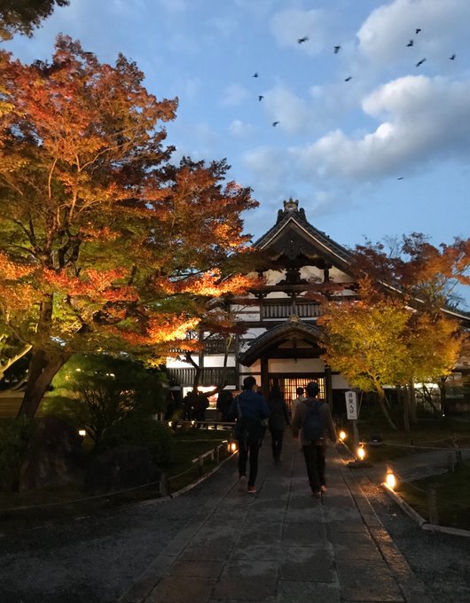 「黒髪 神社」のTwitter画像/イラスト(古い順)