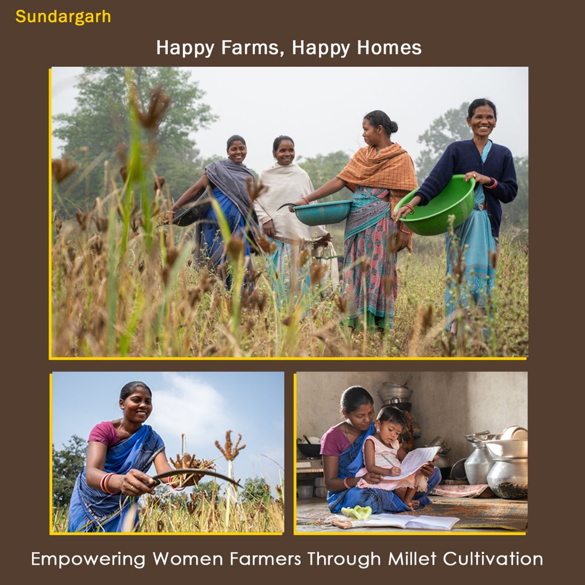 DMSundargarh's tweet photo. “This year I have cultivated Millet on more land in comparison to last year. I will keep some for myself and sell the rest. This will help me save money for my children’s future”- Pratima Sima Xalxo, Farmer, Urba Jharabahal, Lathikata block, Sundargarh. @CMO_Odisha @krushibibhag https://t.co/Rg3J1uJhw2