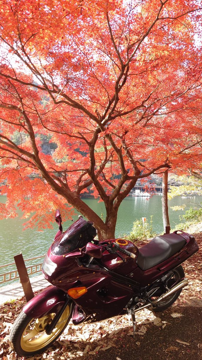marimoHead25's tweet photo. #第22回写真競技会
@BIKEWORLD_GIFU 
#zzr250
#リターンライダー 
 よろしくおねがいします❗️ https://t.co/4ZupRS670M
