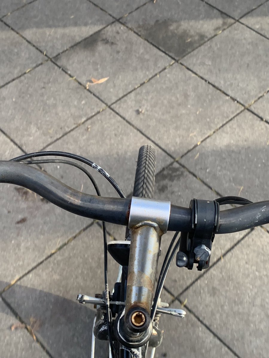 #bikedaily #bikedog