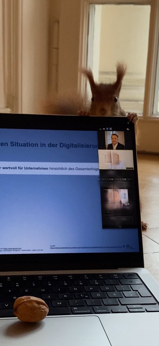 Rauschhofer's tweet photo. #kanzleieichhörnchen #matula ist pünktlich zum Frankfurter IT-Rechtstag #itrt21 https://t.co/olaNfI0ElP