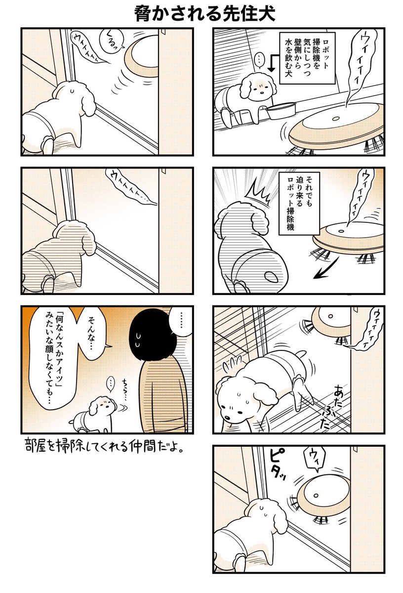 犬氏、掃除機におびやかされる🐶🛸

目に見えてうざそうな顔してて笑っちゃった… 