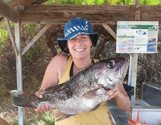 So proud of this Dhufish I caught.

#fishingtrip #fishingislife #fishingdaily #fishinglifestyle #fishinglure #fishing🐟 #fishingflorida #fishingmemes #fishingshirt #fishingusa