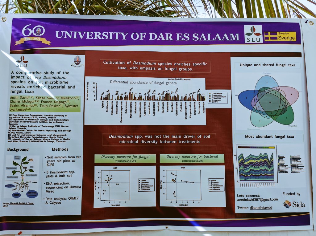 anethdavidd's tweet photo. I tried the #BetterPoster template for a poster presentation during the @Sida #conference on "Research and Inclusive Development" hosted by @UdsmOfficial.

Although not clearly visible here the template made me focus on the most important findings on #Desmodium spp. #Microbiome https://t.co/4rW2AurHfk
