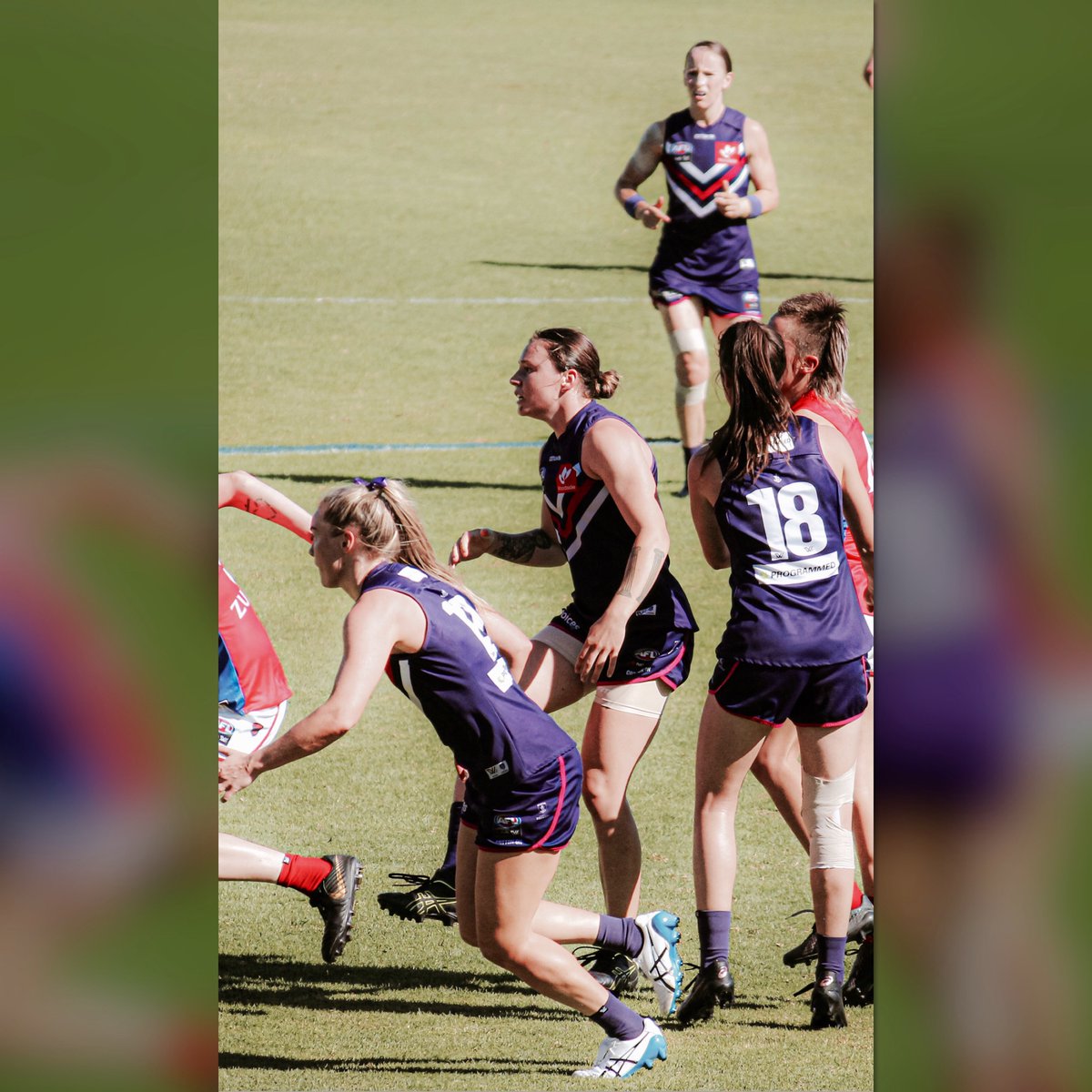freopics_'s tweet photo. It’s hard during this down time on working out what to post. So here is a pic I found on my camera the other day for your Saturday arvo. 

#freopics #freodockersaflw #foreverfreo #perthsportslife #afl #afllover #saturdaypic #canon_photos #sportsphotography https://t.co/YvzqpHIx8m