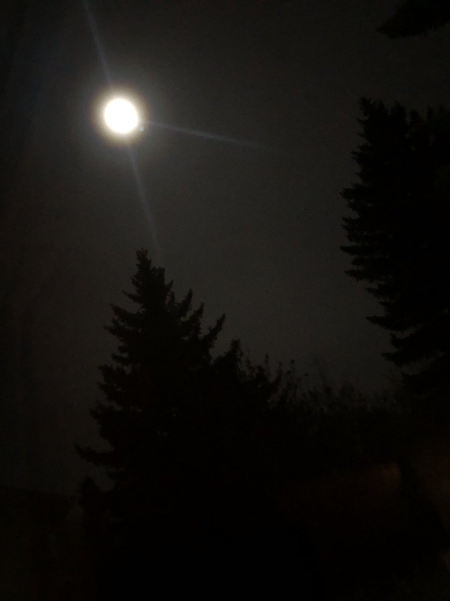 anamkazimCA's tweet photo. Tonight’s full moon over Calgary after the lunar eclipse last night! No wonder its joy to shine fully is truly in its glow! #yyc #FullMoon #novemberfullmoon #thebeavermoon #NightPhotography #nighttime https://t.co/nYTQhe2aMR