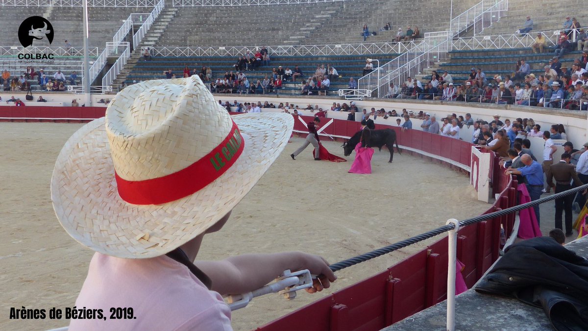 👨‍👦Aujourd'hui, c'est la #JourneeMondialedelEnfance ! 
🤔Enfant assistant à la torture et mise à mort violente d'un animal : quel impact sur son bien-être mental et émotionnel ? 
🧸Protégeons les mineurs de l'exposition et de la participation à la violence des #corridas !