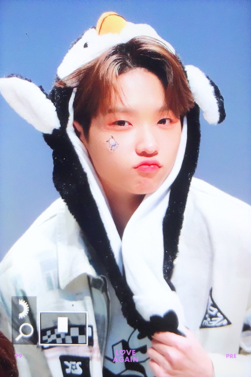 𝑙𝑜𝑣𝑒 𝑎𝑔𝑎𝑖𝑛 ◡̎ ෆ tweet media