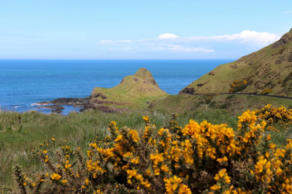 CHotelhms's tweet photo. Take just a few steps or plan the day to hike many. 
Whatever you choose we will welcome you for a well deserved lunch in the bar today. 
Relax &amp; enjoy.  #coastalwalks #letsgohiking #giantscauseway #trek #discoverthecoast #hikethecoast #lunchstop #lunch #saturday https://t.co/uZuRnTK9Ex