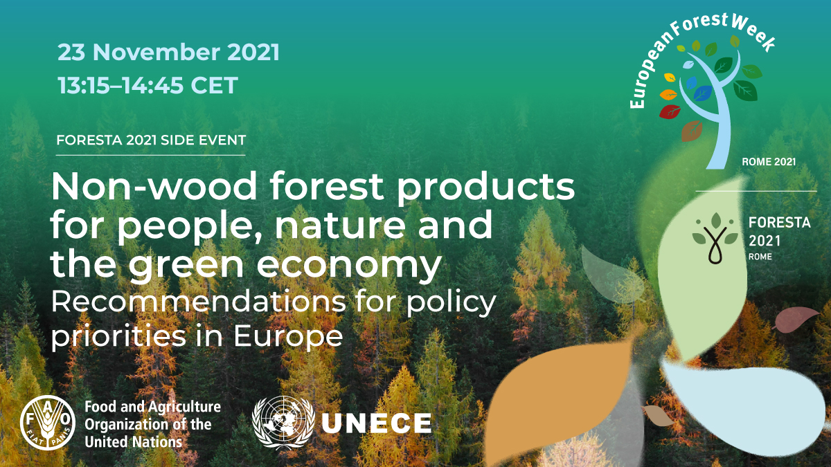 FAOForestry's tweet photo. Join us on 23 November at a #EuropeanForestWeek side event on non-wood forest products for people, nature and the green economy!
Learn more and register now: https://t.co/XLl704SxVd
@europeanforest @UNECE #FutureofForests https://t.co/AyH2HQnW9l