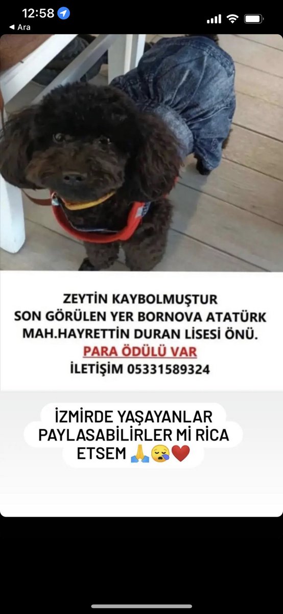 En ufak benzerlikte bile görenler lütfen iletişime geçebilir mi? Çok sevecen bir çocuk. Elden ele rt yaparak herkesin görmesini sağlar mısınız🙏