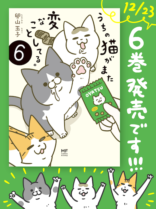 「うちの猫がまた変なことしてる。」
おかげさまで12月23日(木)6巻発売です!
よろしくお願いします🐱
https://t.co/bXqcVubCo9 