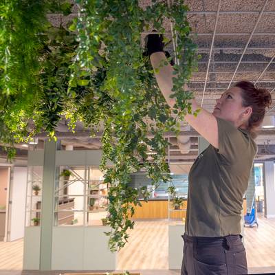 Eindsprintje voor het nieuwe Leonardushof: ‘Dit is de toekomst qua zorg voor mensen met dementie’ dlvr.it/SCsNY8