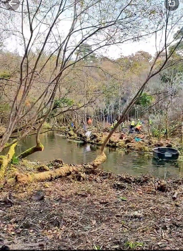 BUisnigh's tweet photo. @hqmulligan @IrishRainforest @npwsBioData @RTECountryWide @Groundwork9 Looks like willow was cut here https://t.co/PdLlo3gaiM
