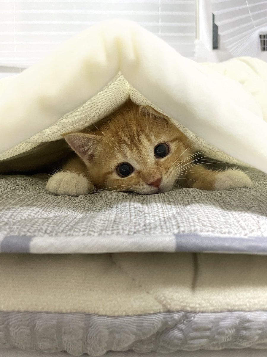 dongggeul's tweet photo. 바부 https://t.co/Lb7escuivj