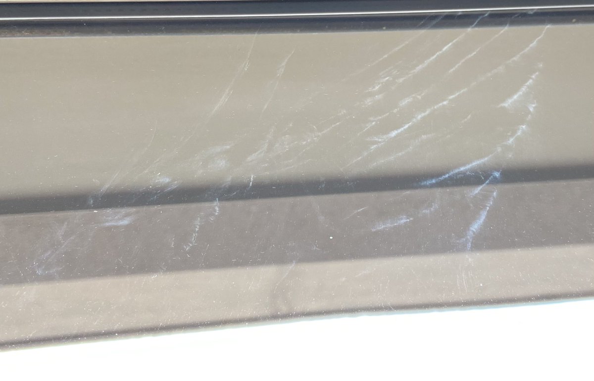 Birding Catalunya tweet media