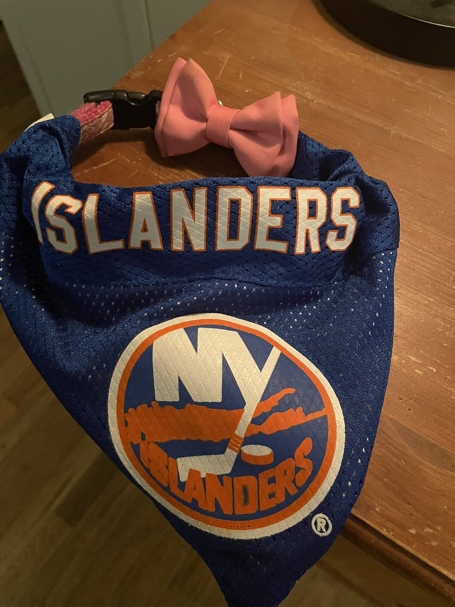 SARutulante's tweet photo. Washed the dogs bandanas this morning because the road whites were grey and had to get the stink out from the 13 game road trip. It’s time for the home blues!! Even set up Hope’s collar who we lost on Monday. #Isles #LGI #letseffingeau #ubyes https://t.co/KNAYHQNRhp