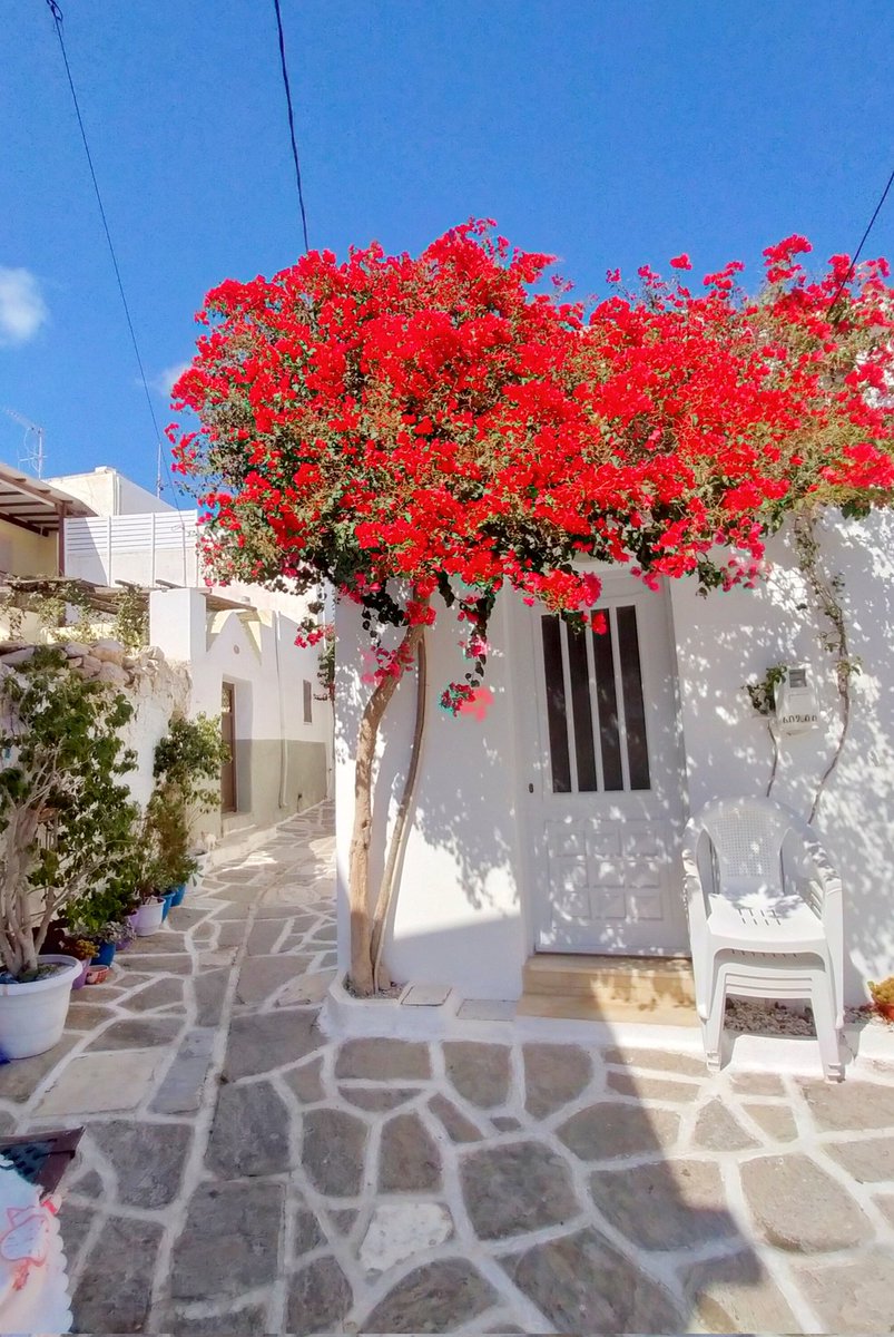 06katze's tweet photo. Paros Island 🇬🇷, Greece Cyclades
#06katze #katze06 #paros #Greece #cyclades #parosisland https://t.co/rPkXofYtwF