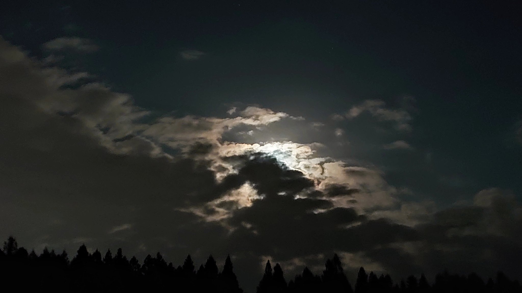荒木健太郎 月が顔を赤らめて夜空に昇ってきました 低い空の月からの光は 地球の大気中でレイリー散乱の影響を受けて赤い色になります 頬を染めた月は 夜空を昇るに連れてだんだんと表情が明るくなり 暖色系から黄色 白へと色が変化します ぜひ夜空を