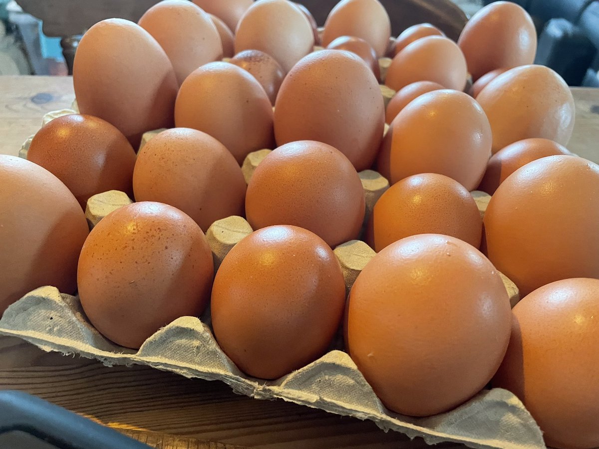 Tray of eggs from a local farmer. €5. Look at the size of those eggs #honestybox #buylocal #MadeInCavan