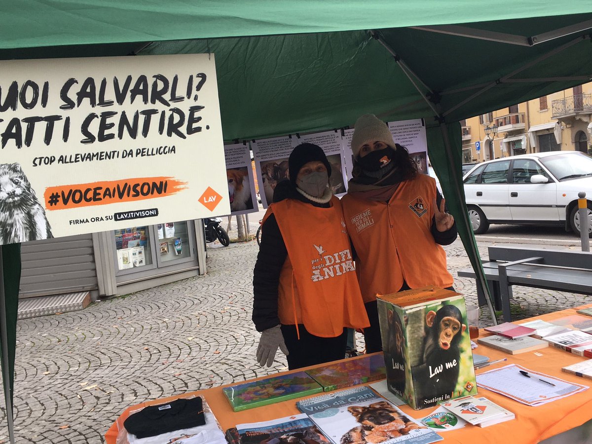 lavmodena's tweet photo. Amici Vignolesi e dintorni!
🐾❤️ Se amate gli animali correte a trovarci. Stiamo raccogliendo le firme per chiudere gli allevamenti di visoni e abbiamo tanti cani in adozione da proporvi! 🐕
Ci trovate a Vignola fino alle 16:30, all’inizio di Viale Mazzini dove c’è il mercatino. https://t.co/OmdivrfG0k