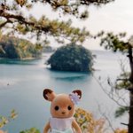 ツイートに含まれる画像