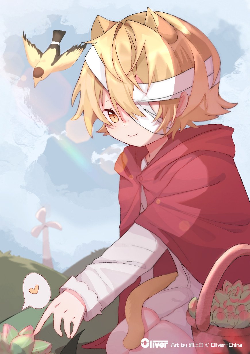 Oliver China Vocaloid Oliver Happybirthdayoliver21 Oliver十周年花之语 Oliver十周年倒计时贺图活动花之语 Oliver10周年花言葉企画 11 12 21 4 35 花月夜 乙女心 Sedum Pachyphyllum Rose Echeveria Pulidonis T Co 4zbtjbzan1 Oliver China Vocaloid Oliver Happybirthdayoliver21 Oliver十周年花之语 Oliver十周年倒计时贺图活动花之语 Oliver10周年花言葉企画 11 12 21 4 35 花月夜 乙女心 Sedum Pachyphyllum Rose Echeveria Pulidonis T Co 4zbtjbzan1