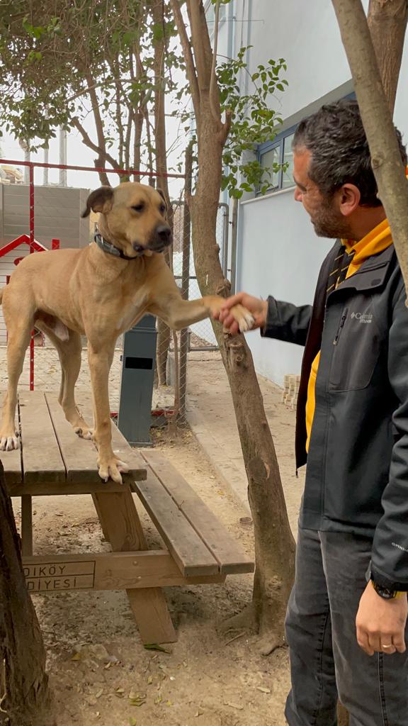 solcugazete's tweet photo. Köpeğe bile kumpas kuranın, bok kadar değeri yoktur bu da böyle biline. https://t.co/COSRtQvzGt