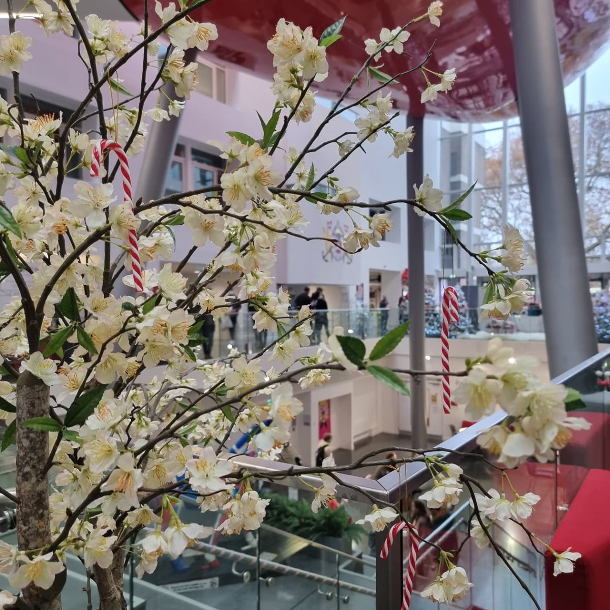 SolentUni's tweet photo. Another busy open day here - this time Christmas themed 🎄
Missed this one? Not to worry, we have many more coming up. Head to https://t.co/7mLZOnol8W to find out more.
#SolentOpen #WeAreSolent #University #OpenDay #Christmas https://t.co/FNdFaLQrGQ
