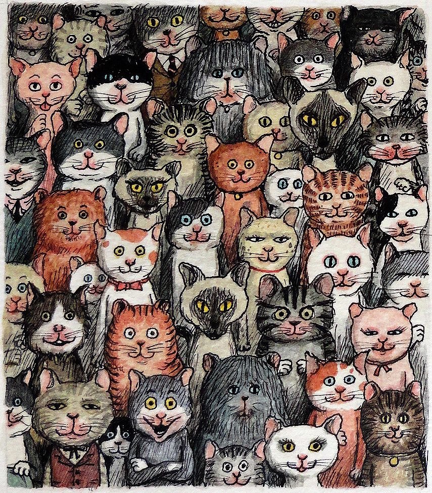 marysia_cc's tweet photo. Franco Matticchio
#Caturday https://t.co/LB6uT5RVtj