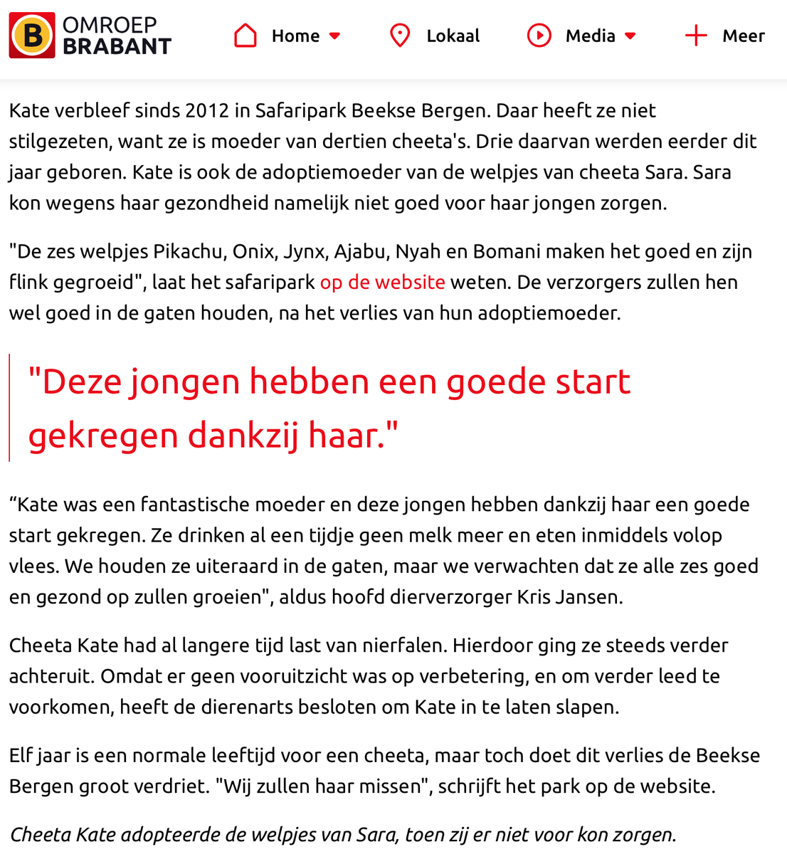Evelien Berkemeijer tweet media